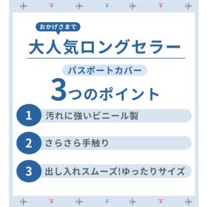 「レビュー記入でメール便送料無料」GPT パス...の詳細画像2