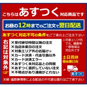 ロゴス 倍速凍結・氷点下パックM 保冷剤 クー...の詳細画像5