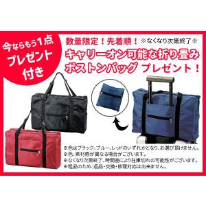 スーツケース Mサイズ ダブルキャスター キャリーバッグ キャリーケース 旅行用品 Tsa Mサイズ Tsa サンコー鞄 Worldstar W ワールドスター ファスナー ハード Wsw1 60 Sa1a161 C Sa1a161 スーツケースと旅行用品のgriptone