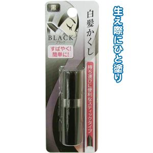 【廃20230112】【まとめ買い=注文単位12個】白髪かくし(ブラック・スティックタイプ)　18-195（se2a121)