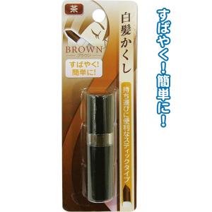 白髪隠し ブラウン スティックタイプ 18 196 コスメ メイク雑貨 きれいプラザ 通販 Yahoo ショッピング