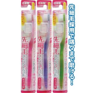 【まとめ買い=注文単位12個】コンパクトヘッドキャップ付き歯ブラシ先細ふつう日本製　アソート(色おま...