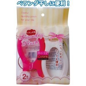 【まとめ買い=注文単位12個】Berry Colors ベランダピンチ2個入　38-801（se2a...