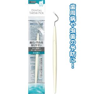 【まとめ買い=注文単位12個】虫歯・歯周病予防に!歯石取り 41-228(se2d411)