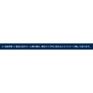 スワニー SWANY サブバッグ ハンドルサッ...の詳細画像5