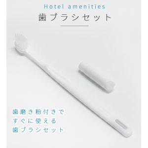 使い捨て 歯ブラシ ハブラシセット お試し 1...の詳細画像1