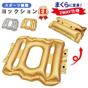 レビュー記入でメール便送料無料」のりもの エアーヨックションVC 空気