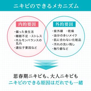 数量限定 51%OFF スペシャル6点セット ...の詳細画像4