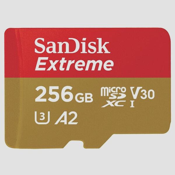 送料無料★SanDisk microSDXC 256GB Extreme UHS-1 U3 V30 ...