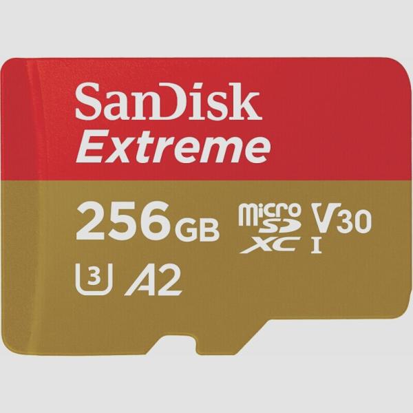 送料無料★SanDisk マイクロSDカード 256GB UHS-I Class10 Switch推...