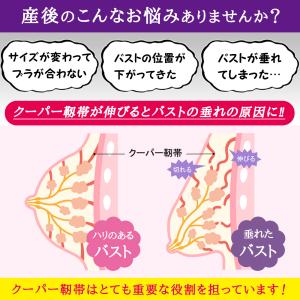 授乳ブラ 2枚セット マタニティブラ 前開き ...の詳細画像3