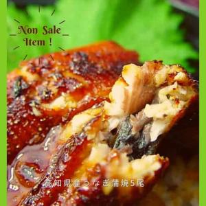 高知県産うなぎ蒲焼5尾 120g×5 五人前 600g 鰻屋フジ 仁淀 通販 ギフト 入学 取り寄せ 国産 母の日 退職 プレゼント お歳暮 2022 unagi graze-grilled dish