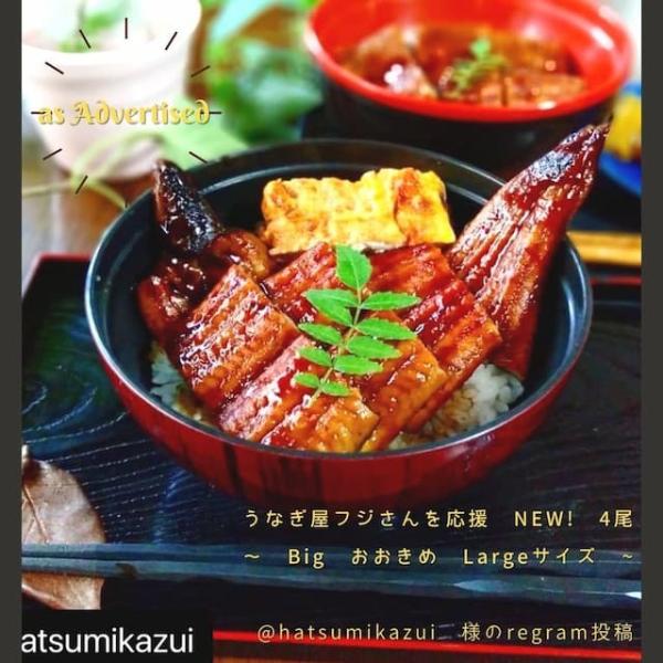 うなぎ屋フジさんを応援 NEW! 4尾 160g×4 五人前 約600g 鰻屋 通販 仁淀川 ギフト...