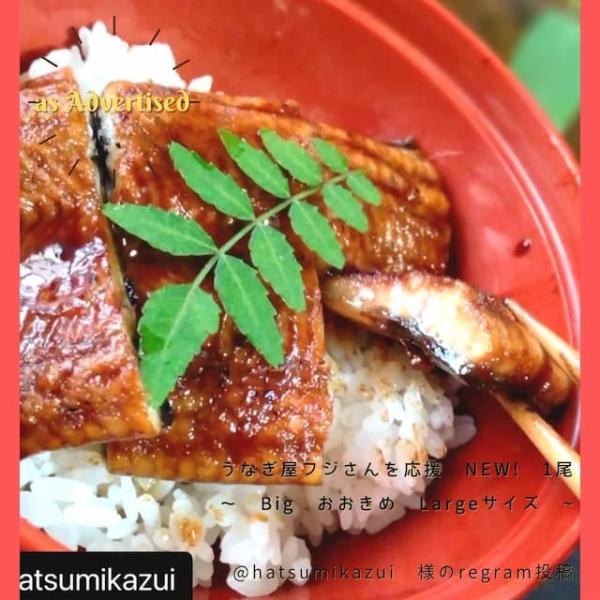 うなぎ屋フジさんを応援 NEW! 1尾 160g 1人前 鰻屋 通販 仁淀川 急速冷凍 ギフト お取...