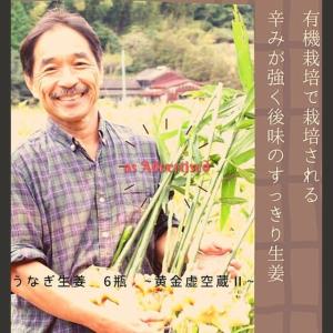 うなぎ生姜6瓶【ご飯のお供 マツコ 6瓶 黄金...の詳細画像5