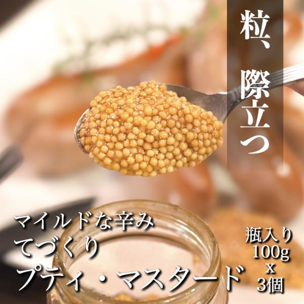 プチプチ食感！「 てづくり プティ マスタード 100g x 3個 セット 」瓶入り 自家製 粒マス...