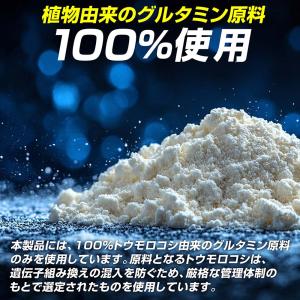 【本日のみポイント15%+クーポン配布】グロン...の詳細画像4