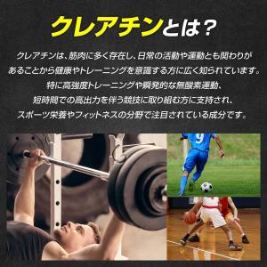 【ポイント+15%】グロング クレアチン モノ...の詳細画像3