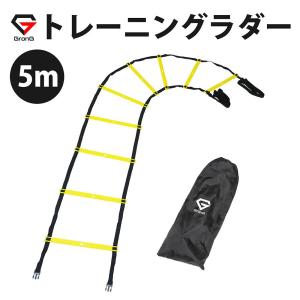 グロング ラダー 5m プレート 9枚 収納袋付き イエロー