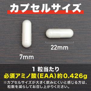 【25日に使える300円OFFクーポン配布】グ...の詳細画像4
