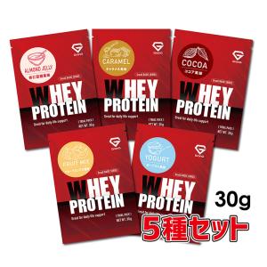 グロング ホエイプロテイン100 ベーシック トライアルパック 5種セット GronG