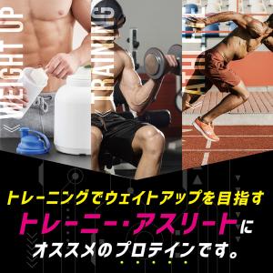 【15日はポイント10%+クーポン配布】グロン...の詳細画像4