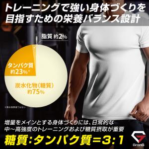 【15日はポイント10%+クーポン配布】グロン...の詳細画像3