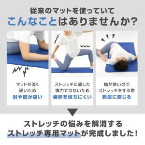 本日のみポイント5%+先着順300円OFF〜|...の詳細画像3