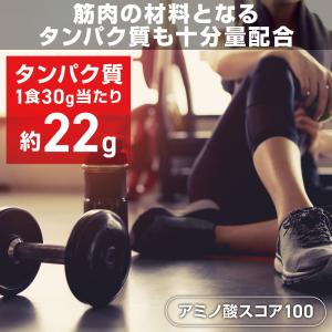 【6/19〜ポイント15%】グロング ソイプロ...の詳細画像5