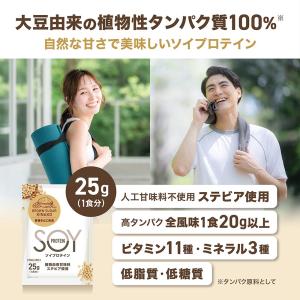 7/1〜ポイント10%|グロング ソイプロテイ...の詳細画像2