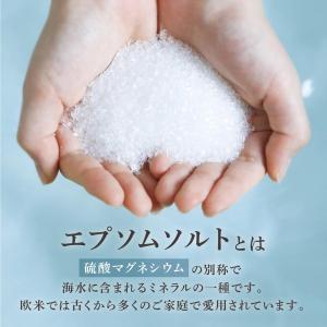 8/9までポイント15%+最大600円OFFク...の詳細画像3