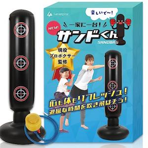 サンドバッグ  自宅用 ボクシング パンチングマシーン