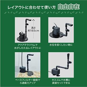 ジェックス GEX ピコロカ High コンパ...の詳細画像3