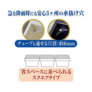 ジェックス GEX メダカ元気 メダカのための...の詳細画像2