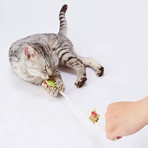 ペティオ (Petio) 猫用おもちゃ へちまレザー デンタルTOY ひもじゃらし グリーン｜gronlinestore