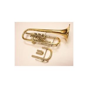 WILLENGERG（ヴィレンベルグ） E♭/D管ロータリートランペット・コンバーチブルモデル・ゴー...