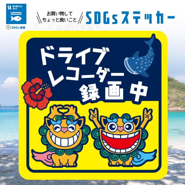 SDGs 寄付 シーサー ドライブレコーダー 録画中 ドラレコ 煽り 運転 危険 いたずら 撮影中 ...