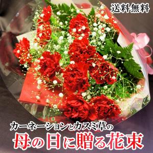 カーネーションとカスミ草の母の日に贈る花束　