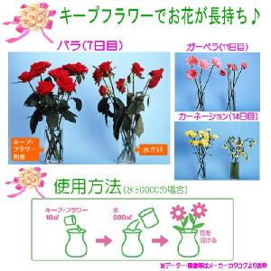 お花長持ち♪キープフラワー10ml 1袋 小袋...の詳細画像1