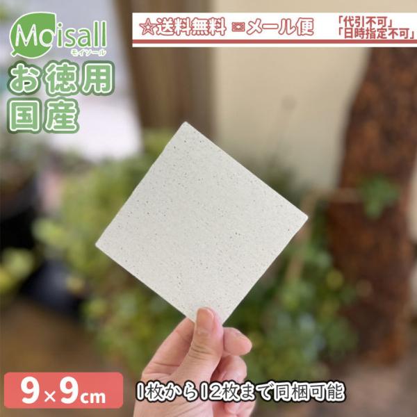 moiss17 お徳用[9cm×9cm]　1枚から12枚まで同梱　Moisall　吸水　メール便　ポ...