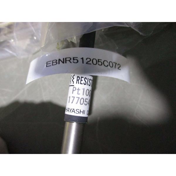 新古 HAYASHI PT100-A-2-M リード線付測温抵抗体 (EBNR51205C072)
