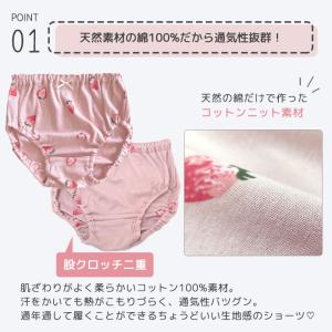 子供 下着 女の子 綿100% ショーツ キッ...の詳細画像4