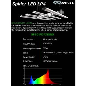 Spider LED LP4｜growshopreal