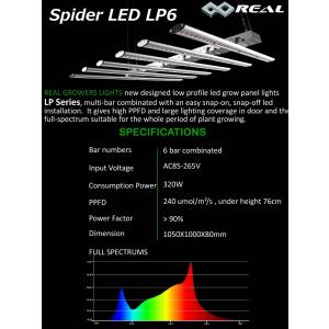 Spider LED LP6｜growshopreal