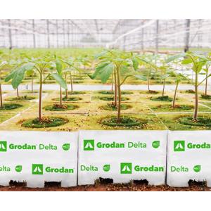 Grodan DM6.5 : Flora Farm - 通販 - Yahoo!ショッピング