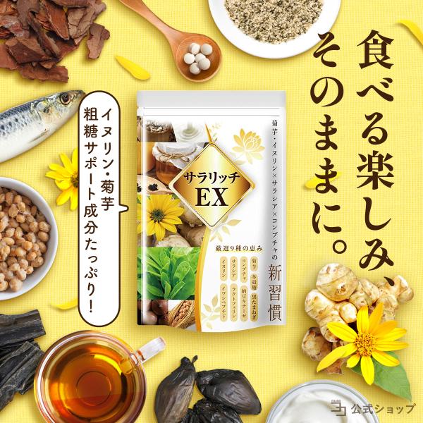 イヌリン サプリ レタス12玉分の食物繊維 サラシア サラリッチEX 糖ケア 菊芋 ラクトフェリン ...