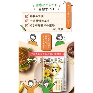イヌリン サプリ レタス12玉分の食物繊維 サ...の詳細画像5