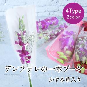 花 卒園 卒業 デンファレの一本 ブーケ かすみ草入り 4type 花 1輪 1本 一輪 一本 1輪の花 花束 ラッピング 保水キャップ付き 花言葉 意味
