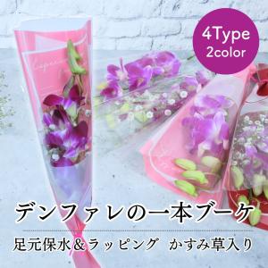 花 卒園 卒業 デンファレの一本 ブーケ 足元保水＆ラッピング かすみ草入り 4type 花 1輪 1本 一輪 一本 1輪の花 花束 ラッピング 保水キャップ