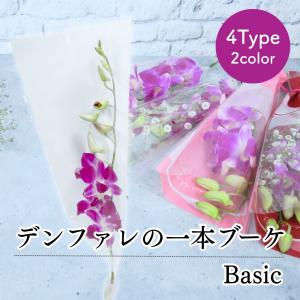 花 卒園 卒業 デンファレの一本 ブーケ Basic 4type 花 1輪 1本 一輪 一本 1輪の花 花束 ラッピング 保水キャップ付き 花言葉 意味